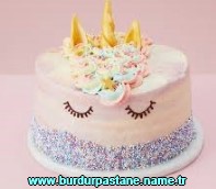 Burdur Necatibey Mahallesi doğum günü pastası yolla